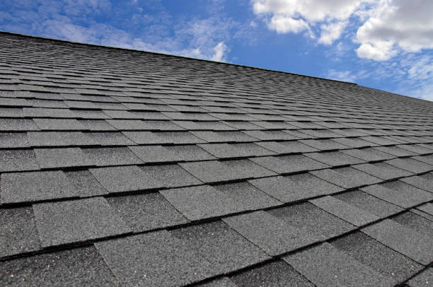 Best Roof Moss and Algae Removal  in Colesville, MD